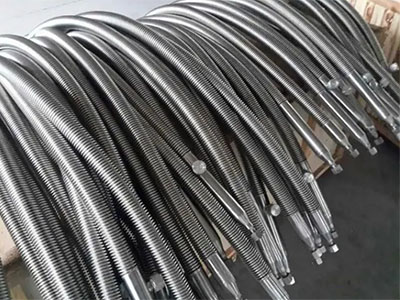 dignzhi ruan.jpg dignzhi ruan.jpg