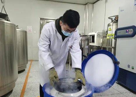 液氮罐 液氮罐